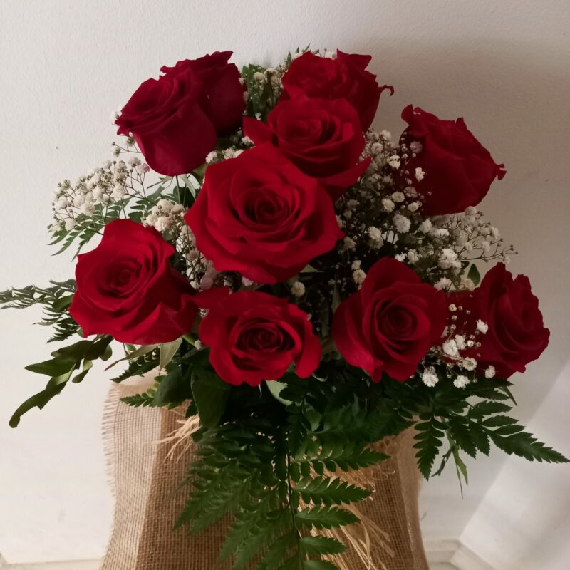 Miss Dotze Roses