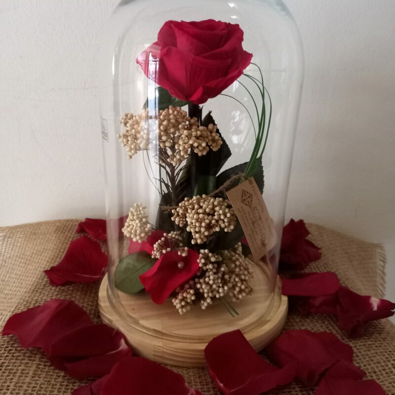 Ewige Rote Rose Kuppel