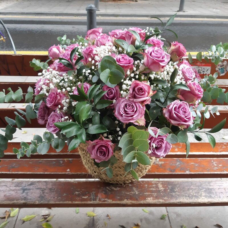 Belle Roses