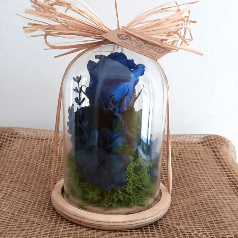 Mini-dôme Eternity Rose Bleu