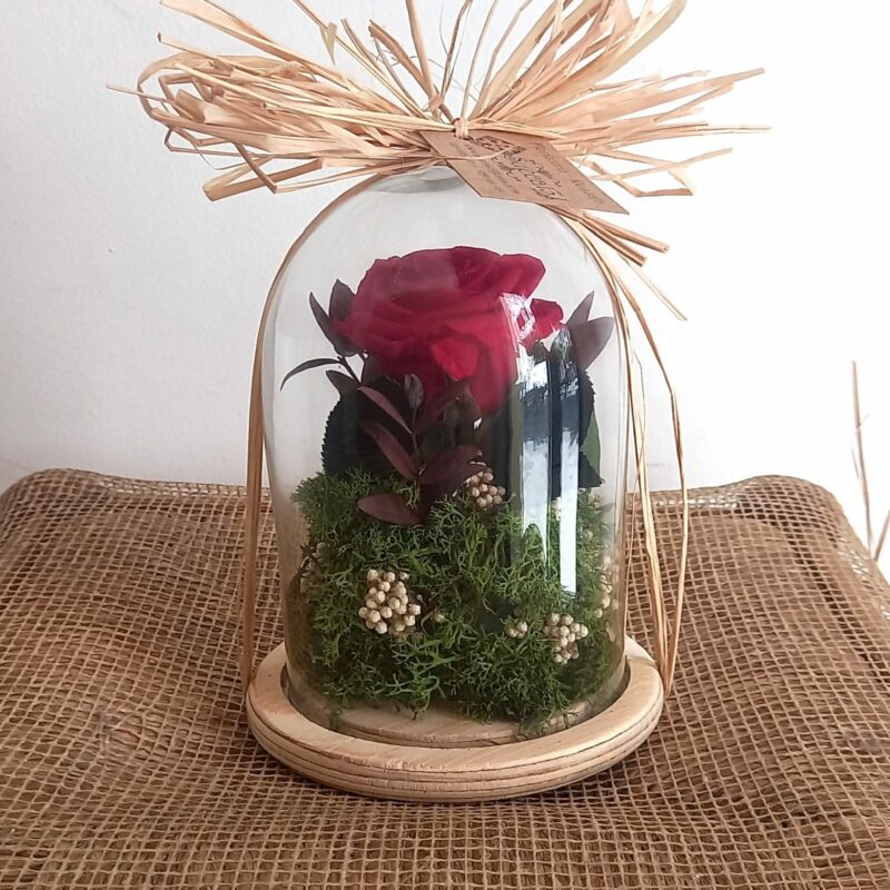 Eeuwigheid Roze Rood Mini Dome