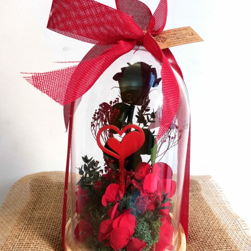 Cúpula Rosa Negra Eternity