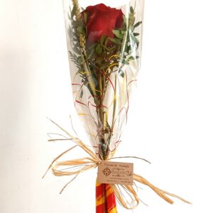 Rosa de Sant Jordi