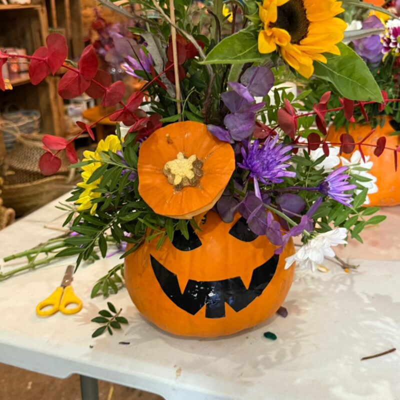 Taller de Calabazas Florales de Halloween para peques. Día 31/10 Turno 12 horas