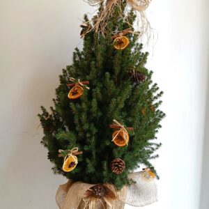 Árbol Picea Navideño Decorado