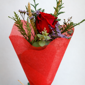 Rosa de Sant Jordi Premium